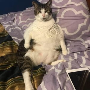 Meet your Posher, Jerry